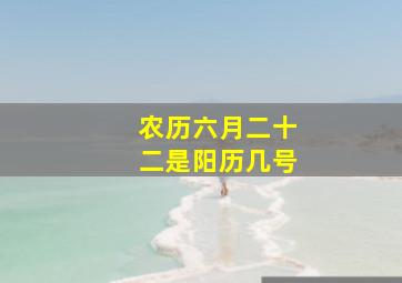 农历六月二十二是阳历几号