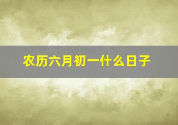 农历六月初一什么日子