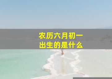 农历六月初一出生的是什么