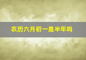 农历六月初一是半年吗