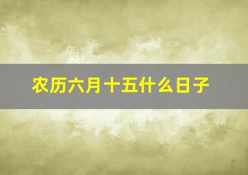 农历六月十五什么日子