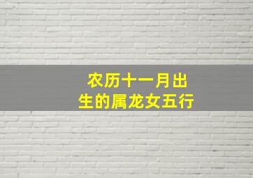 农历十一月出生的属龙女五行