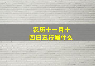 农历十一月十四日五行属什么