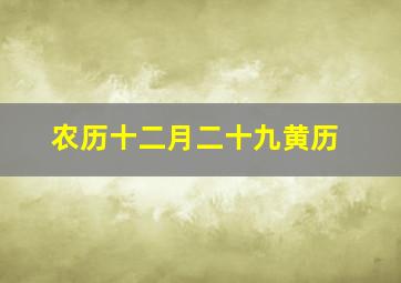 农历十二月二十九黄历