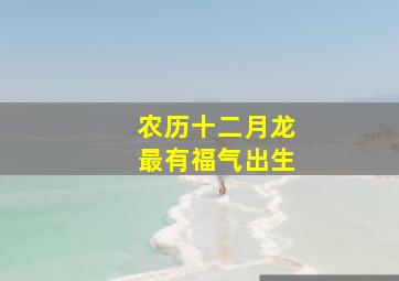 农历十二月龙最有福气出生