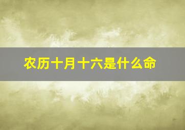 农历十月十六是什么命