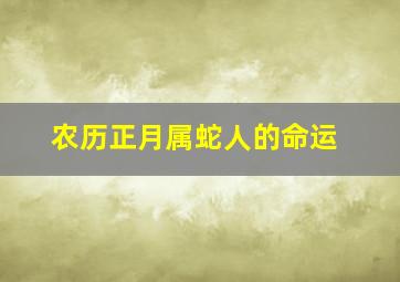 农历正月属蛇人的命运