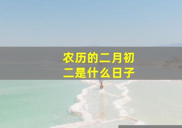 农历的二月初二是什么日子