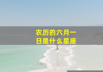 农历的六月一日是什么星座