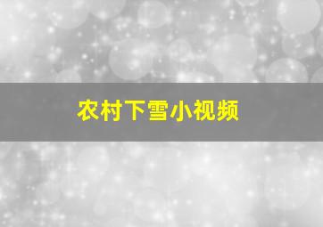 农村下雪小视频