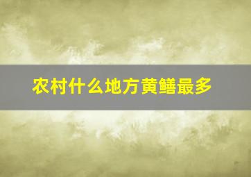 农村什么地方黄鳝最多