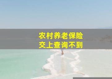 农村养老保险交上查询不到