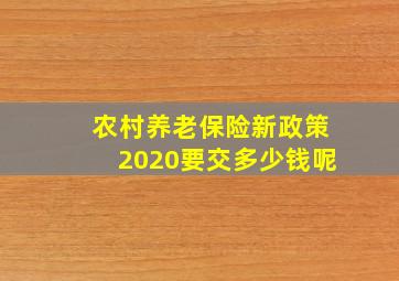 农村养老保险新政策2020要交多少钱呢