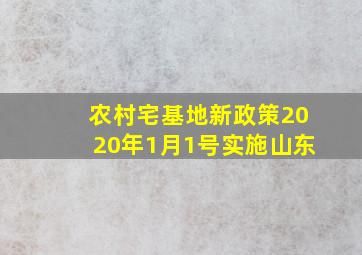 农村宅基地新政策2020年1月1号实施山东