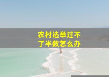 农村选举过不了半数怎么办