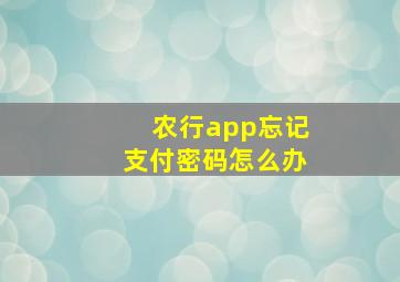 农行app忘记支付密码怎么办