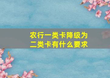 农行一类卡降级为二类卡有什么要求