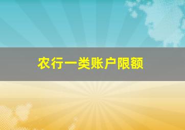 农行一类账户限额