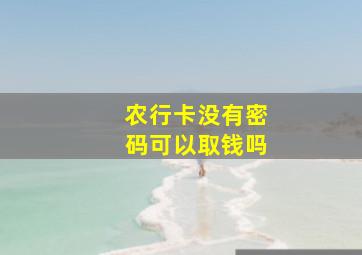 农行卡没有密码可以取钱吗