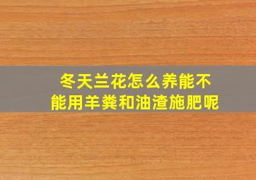 冬天兰花怎么养能不能用羊粪和油渣施肥呢