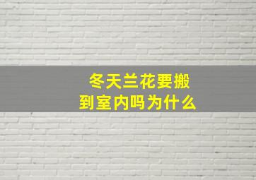 冬天兰花要搬到室内吗为什么