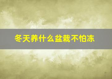 冬天养什么盆栽不怕冻