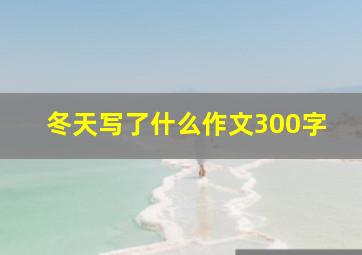 冬天写了什么作文300字