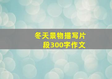 冬天景物描写片段300字作文