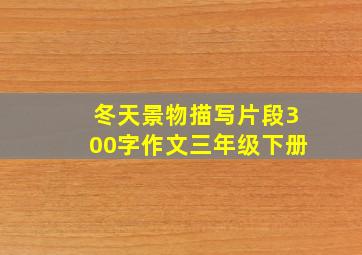 冬天景物描写片段300字作文三年级下册