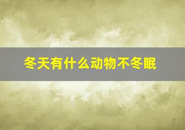 冬天有什么动物不冬眠