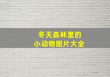 冬天森林里的小动物图片大全