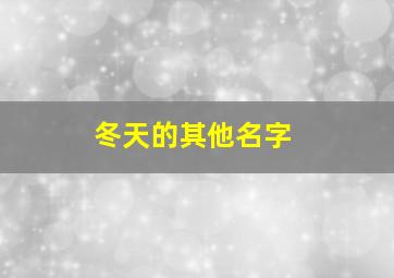 冬天的其他名字