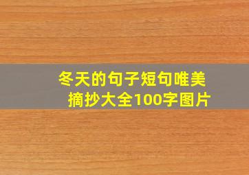 冬天的句子短句唯美摘抄大全100字图片