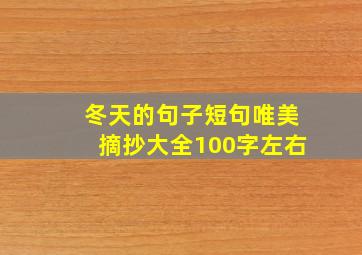 冬天的句子短句唯美摘抄大全100字左右