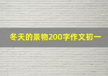 冬天的景物200字作文初一