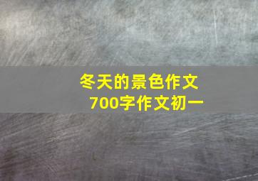 冬天的景色作文700字作文初一