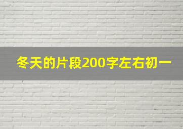 冬天的片段200字左右初一