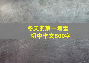 冬天的第一场雪初中作文800字