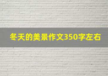 冬天的美景作文350字左右