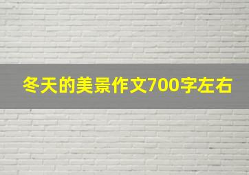 冬天的美景作文700字左右