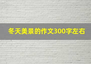 冬天美景的作文300字左右