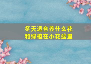 冬天适合养什么花和绿植在小花盆里