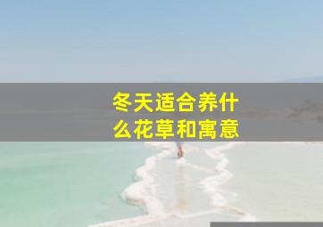 冬天适合养什么花草和寓意