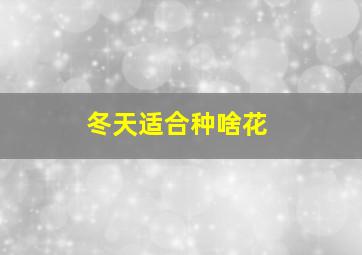 冬天适合种啥花