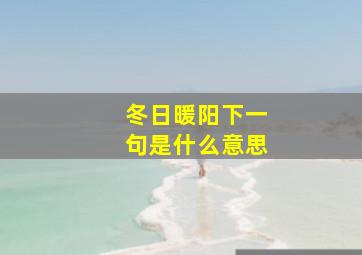 冬日暖阳下一句是什么意思