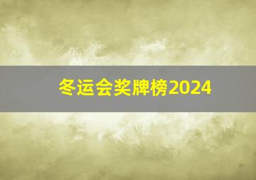 冬运会奖牌榜2024