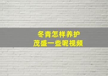 冬青怎样养护茂盛一些呢视频