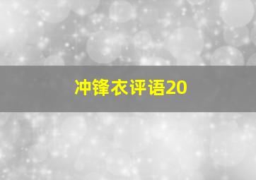 冲锋衣评语20