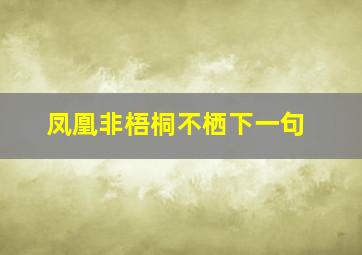 凤凰非梧桐不栖下一句