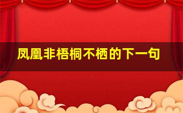 凤凰非梧桐不栖的下一句